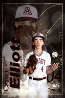 AMS Baseball Banners